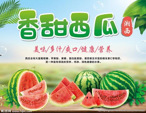 吃瓜娱乐封面设计图片大全,盘点潮流视觉盛宴