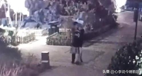 吃瓜比赛视频完整版,全程精彩瞬间回顾