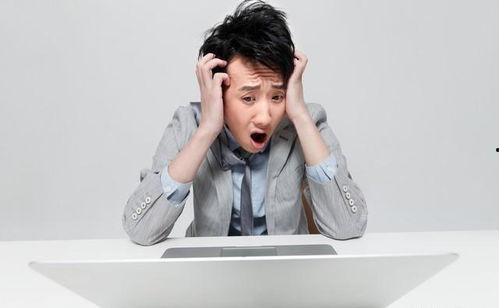 娱乐圈吃瓜爽文小说推荐