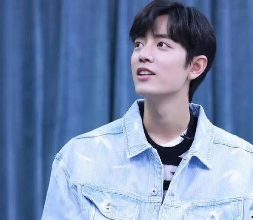 娱乐圈吃瓜王安宇